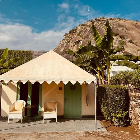 The Rawla Narlai - A Luxury Heritage Stay In Leopard Country Exterior foto